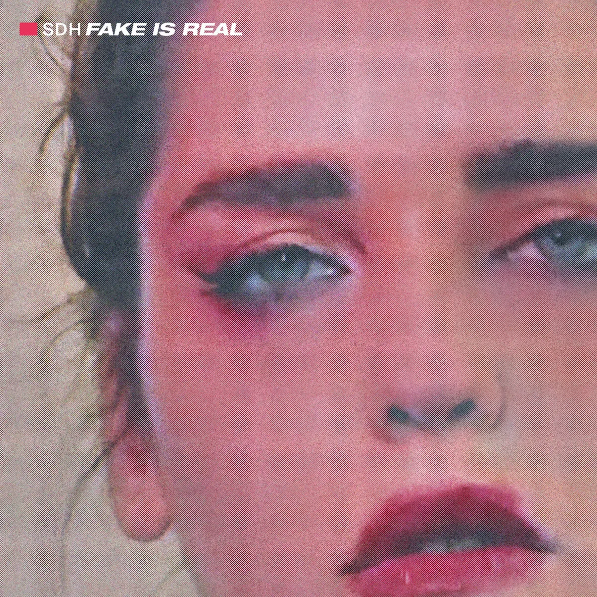 SDH (Semiotics Department of Heteronyms) - Fake Is Real